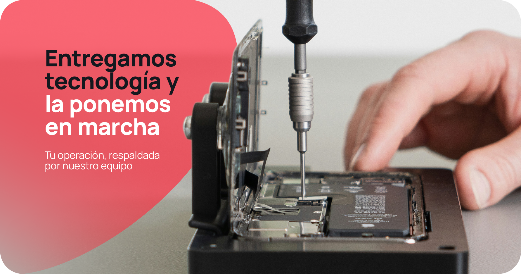 DecData - Servicios